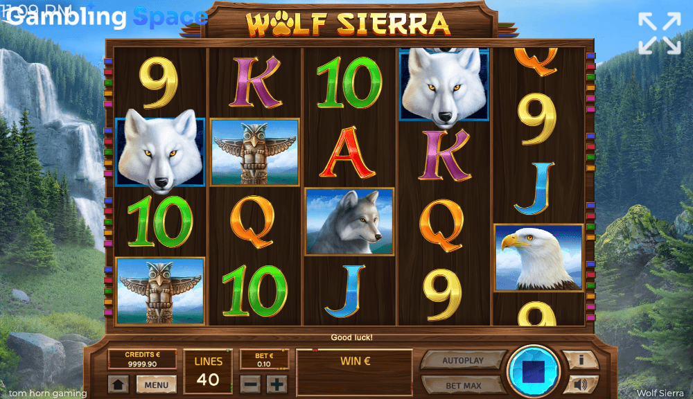 Wolf Sierra – Screenshot 3