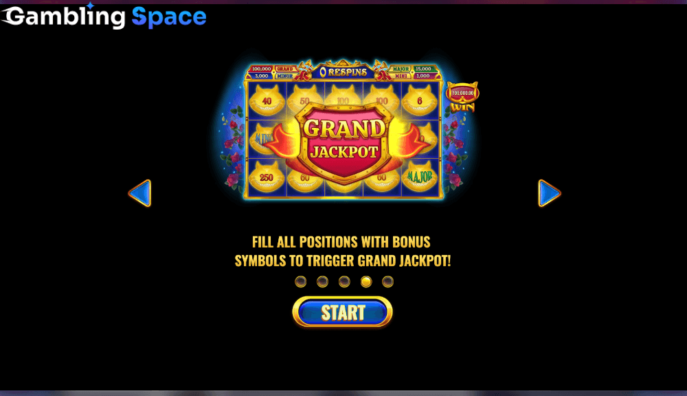 WondeReels – Screenshot 1