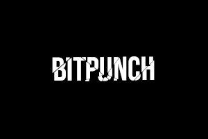 Bitpunch Icon